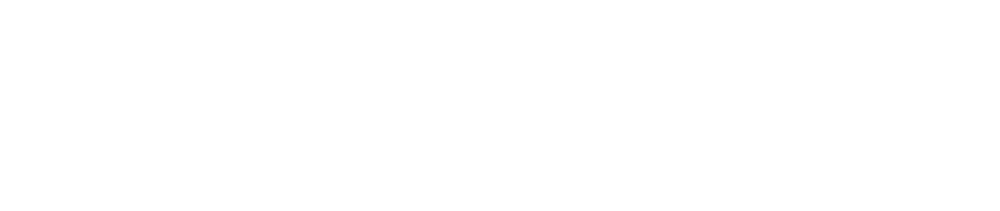 Burgaflex logowh